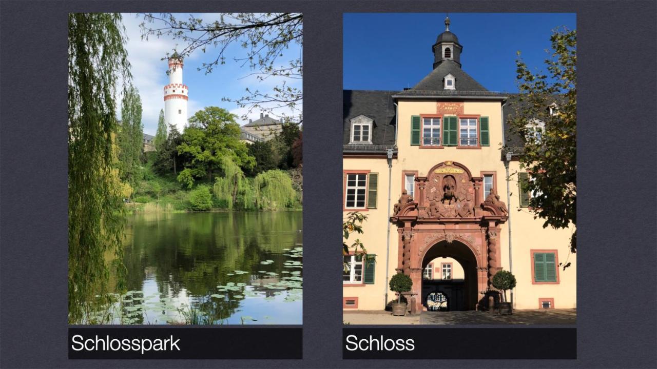 Grosses Und Helles Innenstadt Apartment - Ferienwohnung Bad Homburg vor der Höhe Dış mekan fotoğraf