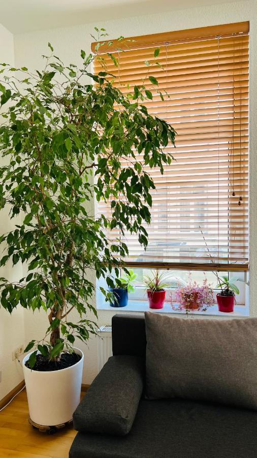Grosses Und Helles Innenstadt Apartment - Ferienwohnung Bad Homburg vor der Höhe Dış mekan fotoğraf